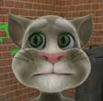 Talking tom cat