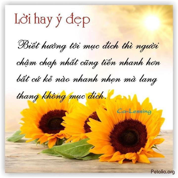 hinh anh ,lời hay ,ý đẹp ,loi hay y dep,tong hot