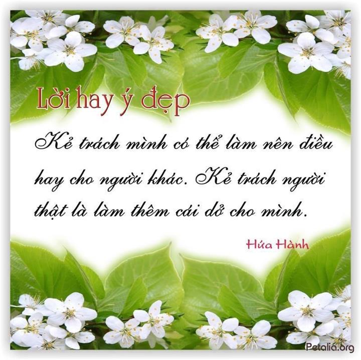 hinh anh ,lời hay ,ý đẹp ,loi hay y dep,tong hot