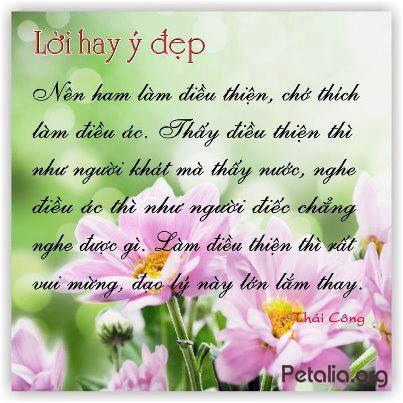 hinh anh ,lời hay ,ý đẹp ,loi hay y dep,tong hot