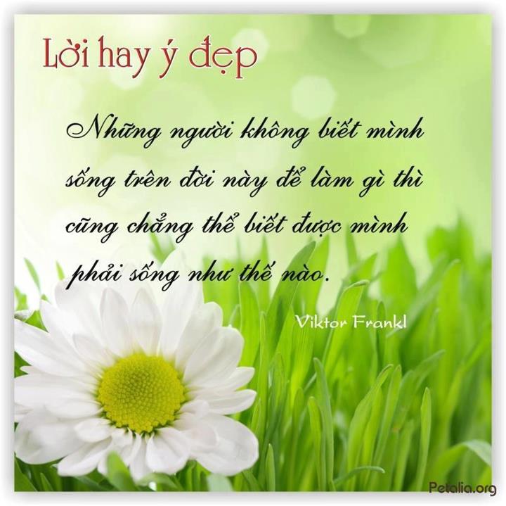 hinh anh ,lời hay ,ý đẹp ,loi hay y dep,tong hot