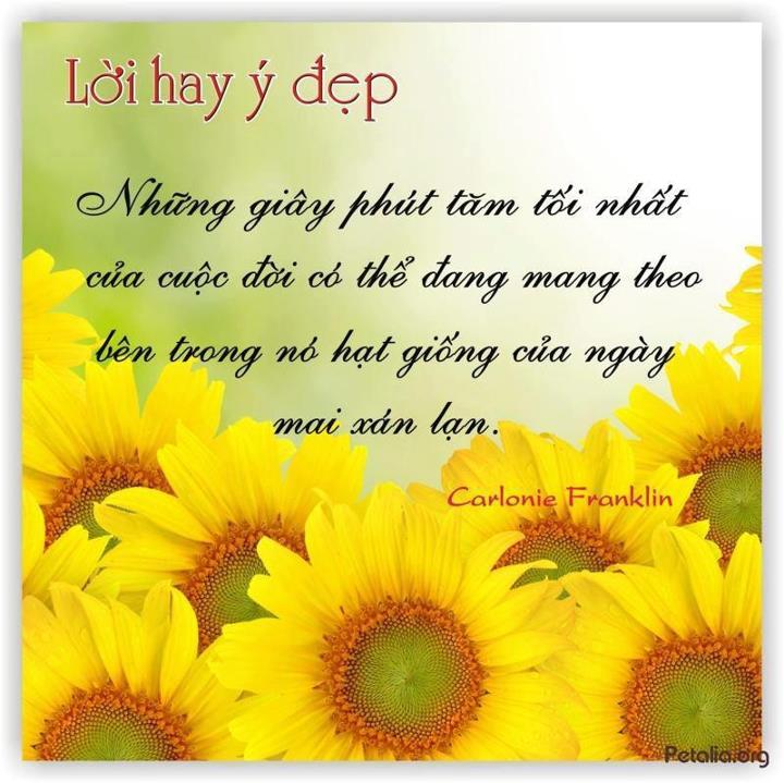 hinh anh ,lời hay ,ý đẹp ,loi hay y dep,tong hot