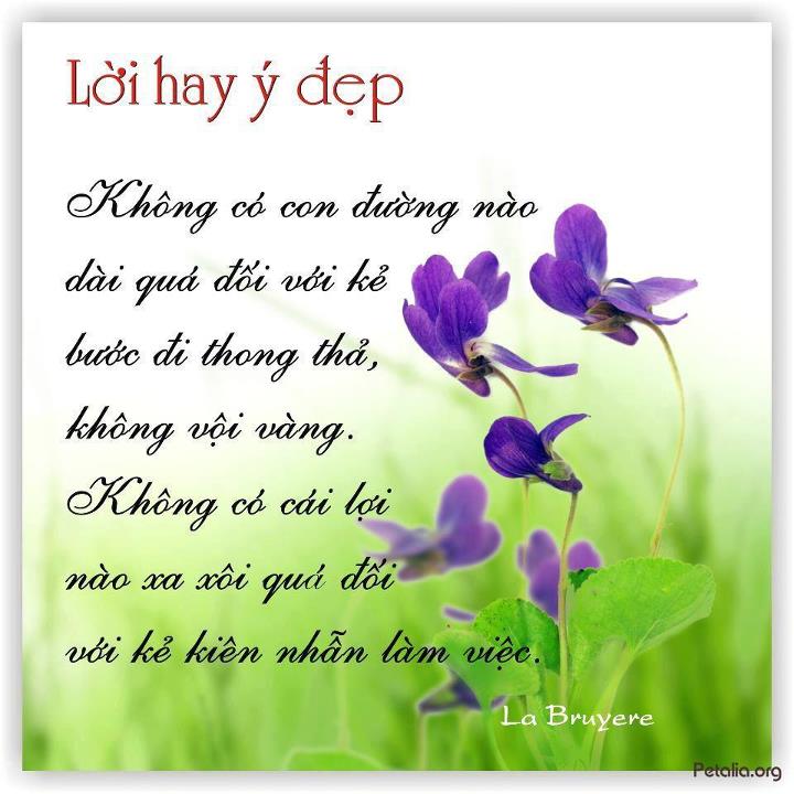 hinh anh ,lời hay ,ý đẹp ,loi hay y dep,tong hot