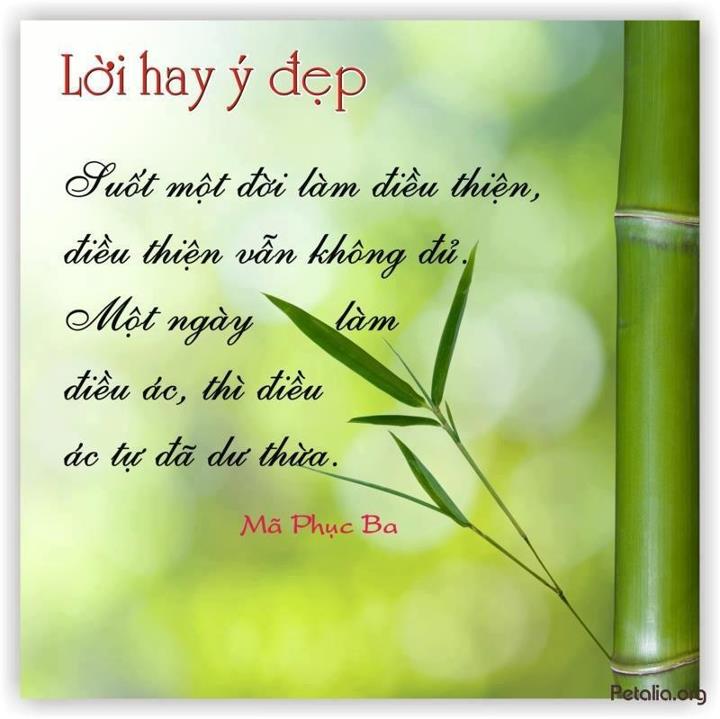 hinh anh ,lời hay ,ý đẹp ,loi hay y dep,tong hot
