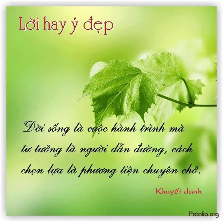 hinh anh ,lời hay ,ý đẹp ,loi hay y dep,tong hot
