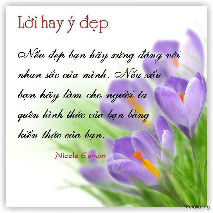 hinh anh ,lời hay ,ý đẹp ,loi hay y dep,tong hot