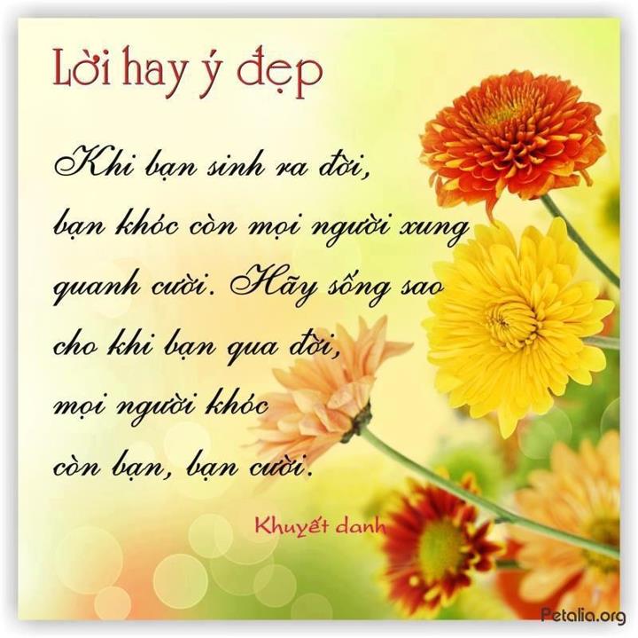 hinh anh ,lời hay ,ý đẹp ,loi hay y dep,tong hot