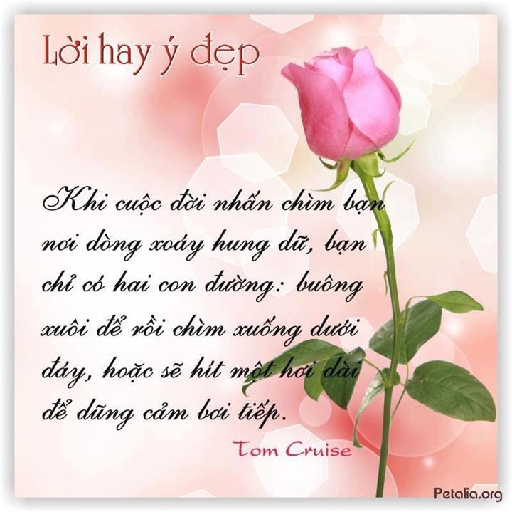 hinh anh ,lời hay ,ý đẹp ,loi hay y dep,tong hot
