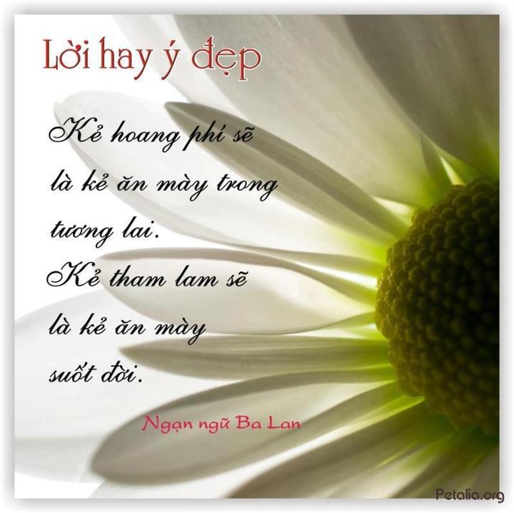 hinh anh ,lời hay ,ý đẹp ,loi hay y dep,tong hot
