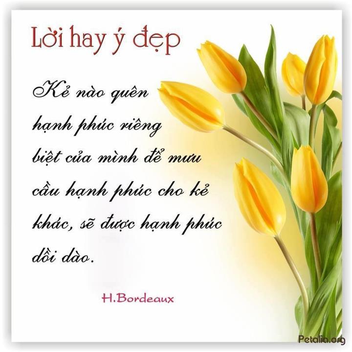 hinh anh ,lời hay ,ý đẹp ,loi hay y dep,tong hot