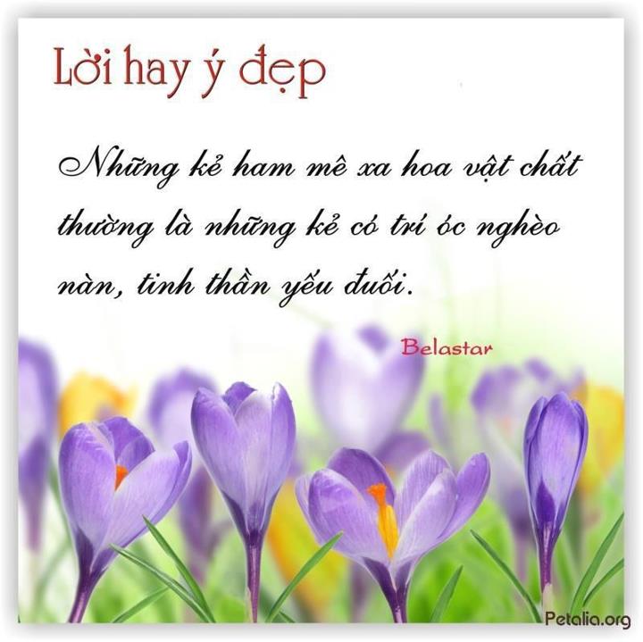 hinh anh ,lời hay ,ý đẹp ,loi hay y dep,tong hot