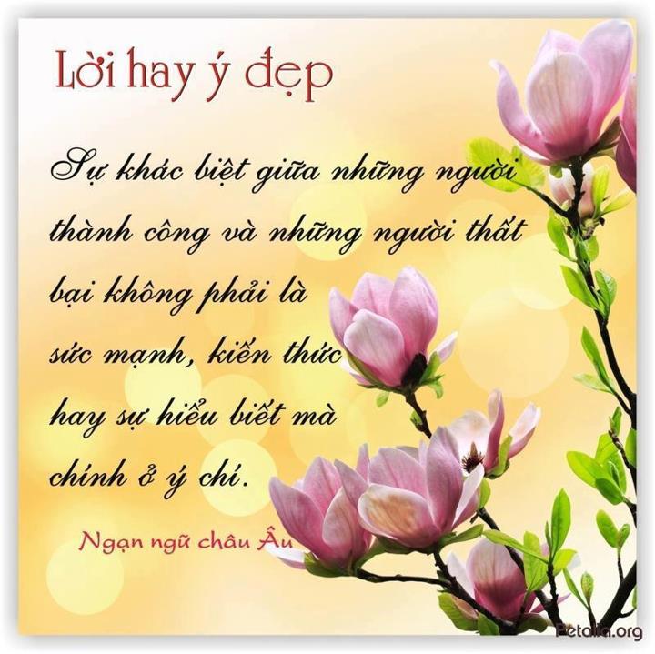 hinh anh ,lời hay ,ý đẹp ,loi hay y dep,tong hot