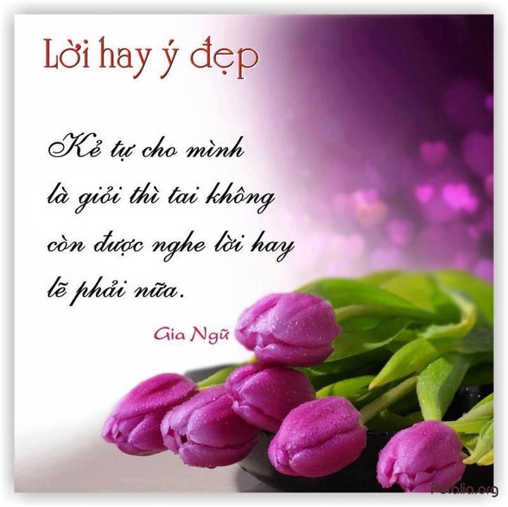 hinh anh ,lời hay ,ý đẹp ,loi hay y dep,tong hot