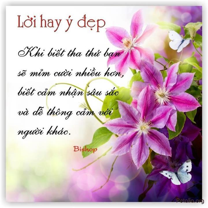 hinh anh ,lời hay ,ý đẹp ,loi hay y dep,tong hot