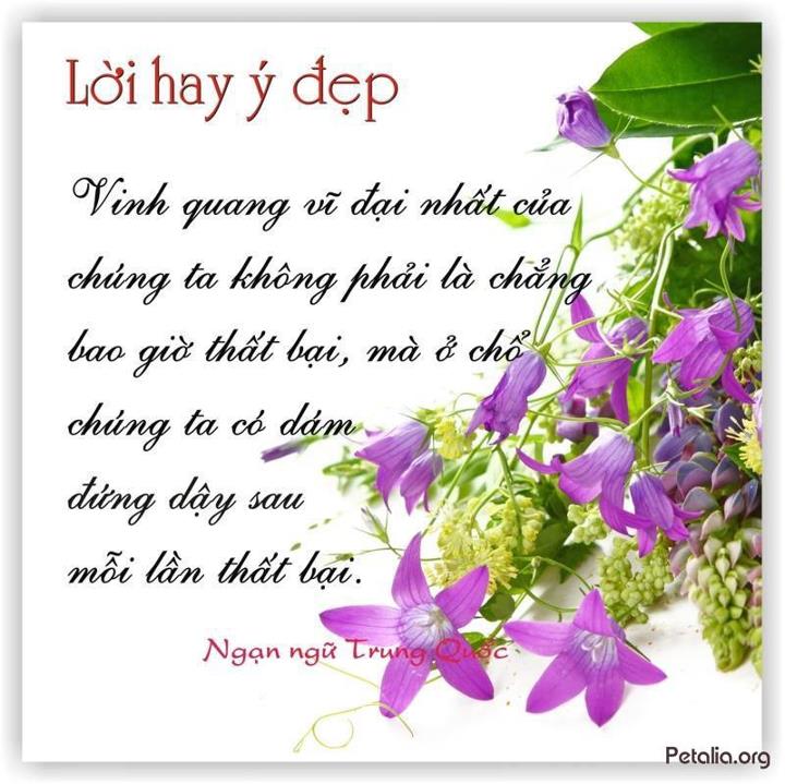 hinh anh ,lời hay ,ý đẹp ,loi hay y dep,tong hot