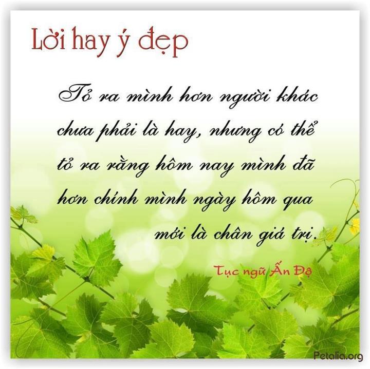 hinh anh ,lời hay ,ý đẹp ,loi hay y dep,tong hot