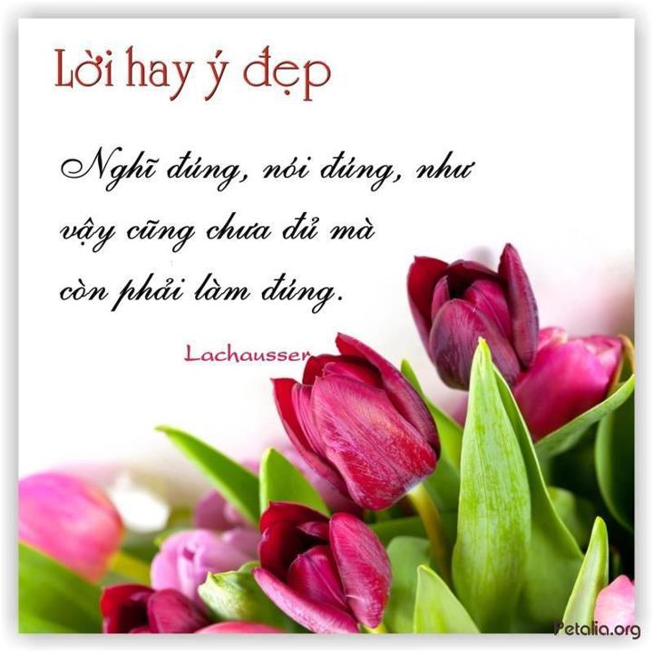hinh anh ,lời hay ,ý đẹp ,loi hay y dep,tong hot