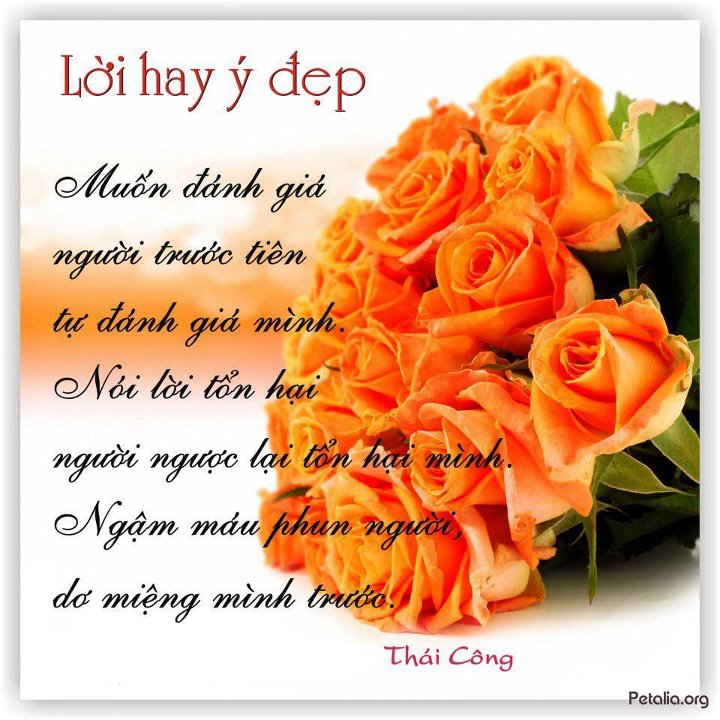 hinh anh ,lời hay ,ý đẹp ,loi hay y dep,tong hot