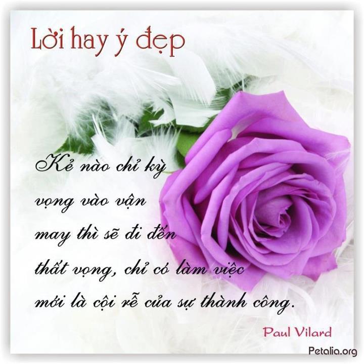 hinh anh ,lời hay ,ý đẹp ,loi hay y dep,tong hot