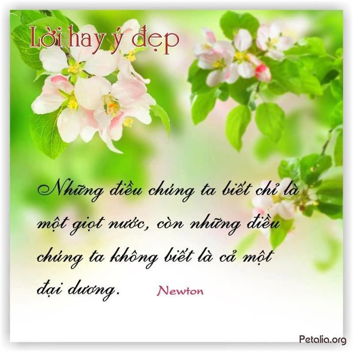 hinh anh ,lời hay ,ý đẹp ,loi hay y dep,tong hot