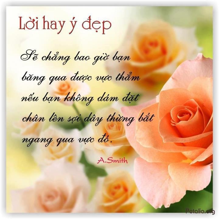 hinh anh ,lời hay ,ý đẹp ,loi hay y dep,tong hot