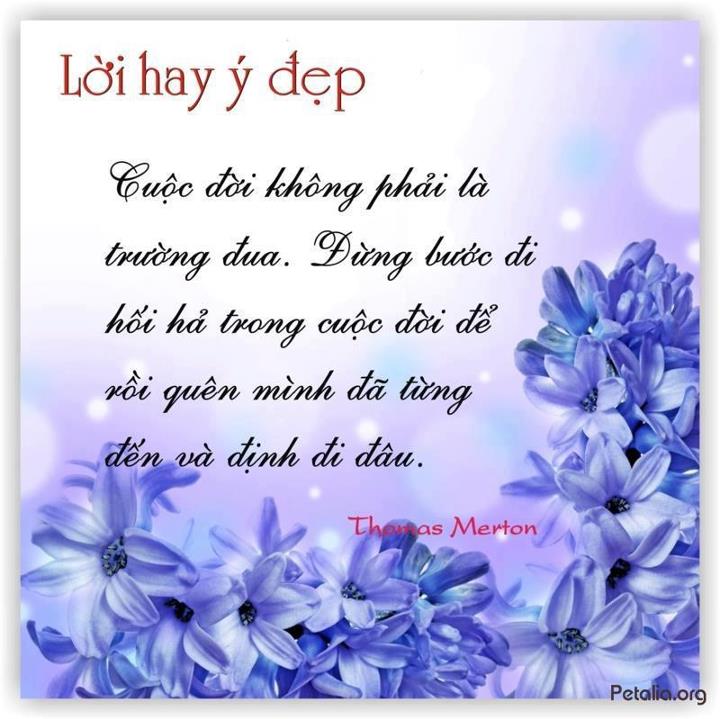 hinh anh ,lời hay ,ý đẹp ,loi hay y dep,tong hot